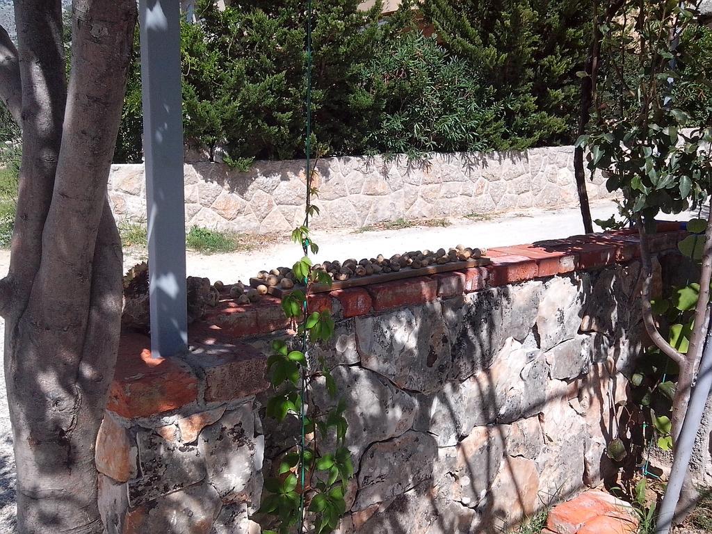 Apartman Lucija Seline Dış mekan fotoğraf